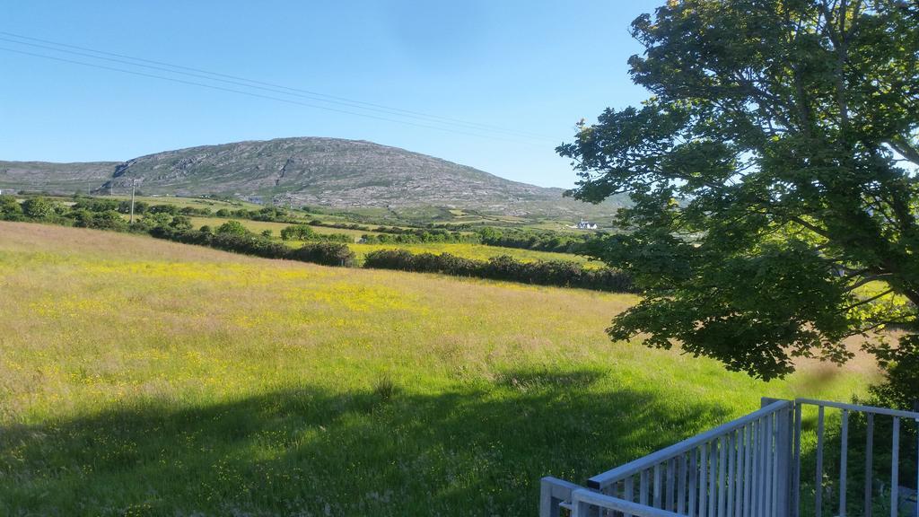 Bridge View House B&B And Restaurant Kilcrohane Exterior foto